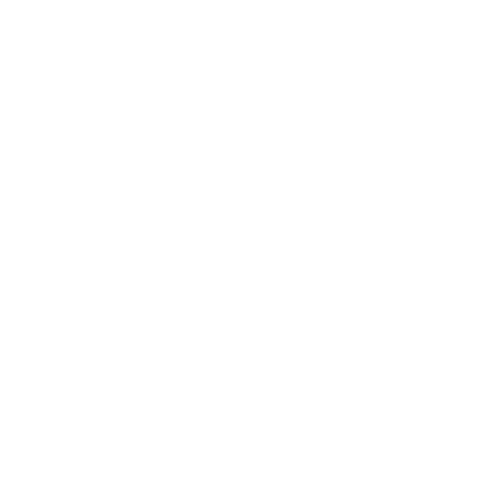 Initiative by Bhutan Esports